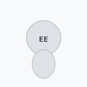 Everton Ehlert